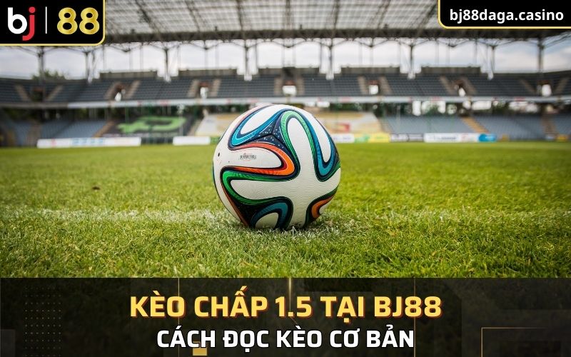 Cách đọc kèo cơ bản cho người mới