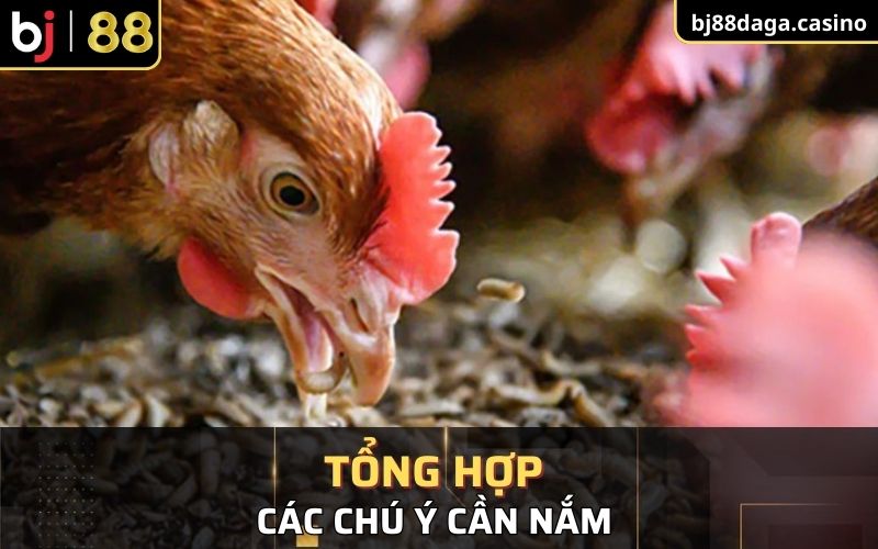 Tổng hợp chú ý cần nắm