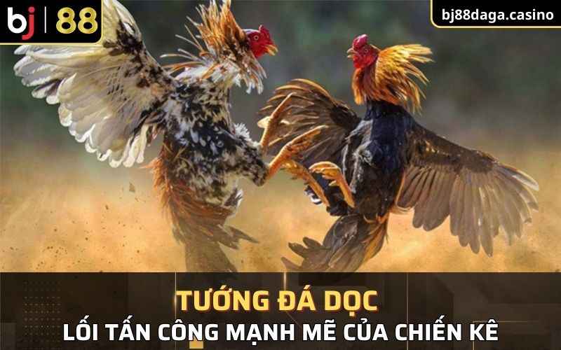 Tướng đá dọc - Lối tấn công mạnh mẽ của chiến kê 